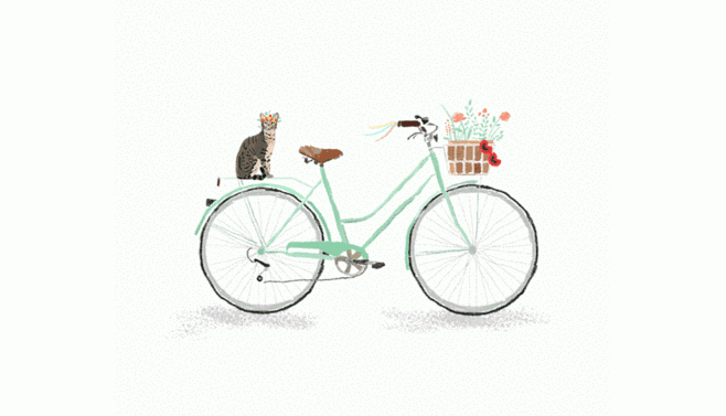 5.gif