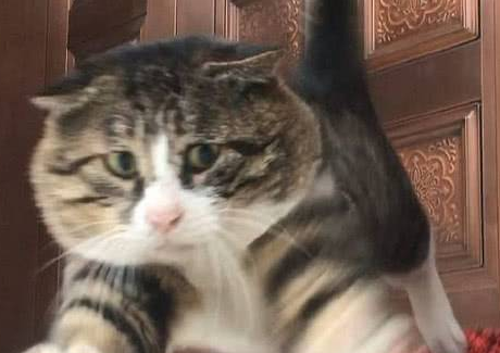 圖片5.png
